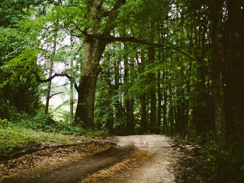 sudoku xy-wing screenshot 6